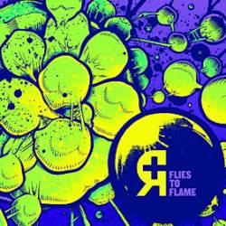 Rosetta : Flies to Flame